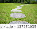 芝生の庭に続く飛び石 137951035