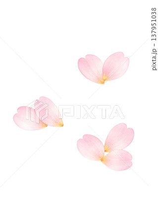 桜の花びら シンプル 春 あしらい 水彩イラスト素材 137951038