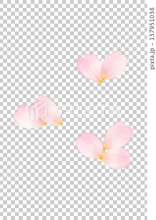桜の花びら シンプル 春 あしらい 水彩イラスト素材 137951038