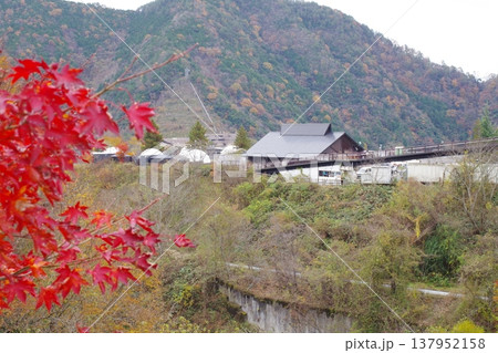 安芸太田町温井ダムリゾート秋の景色 137952158