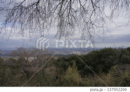 八王子城跡の松木曲輪 137952200