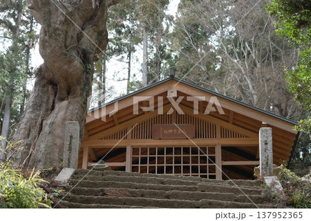 八王子城跡の八王子神社 137952365