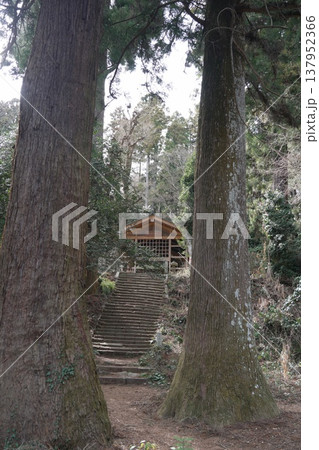 八王子城跡の八王子神社 八王子城跡の八王子神社 137952366