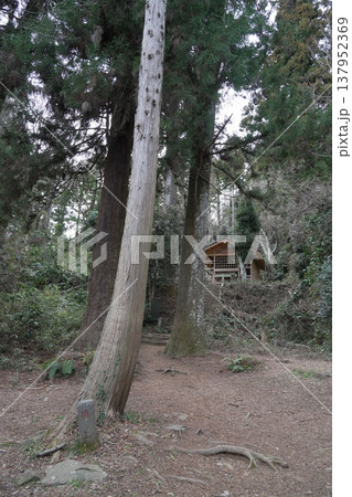 八王子城跡の八王子神社 137952369