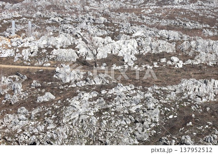秋吉台展望台から見たカルスト台地の風景 137952512