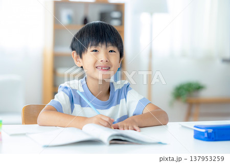 勉強する小学生 勉強する小学生 137953259