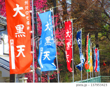 埼玉県川口市の密蔵院の様々な風景(2026年3月撮影) 埼玉県川口市の密蔵院の様々な風景(2026年3月撮影) 137953423