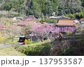 安芸大田安野の里山風景 137953587