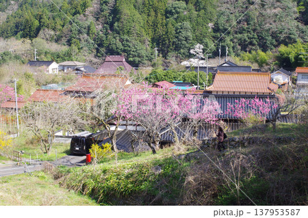 安芸大田安野の里山風景 137953587