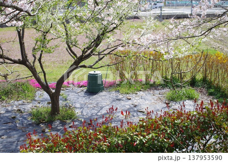 花々に囲まれた畑の景色 137953590