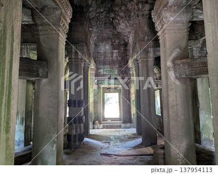 カンボジア アンコール遺跡 プリア・カン 137954113