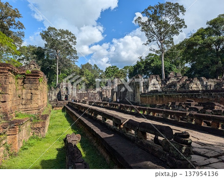 カンボジア アンコール遺跡 プリア・カン カンボジア アンコール遺跡 プリア・カン 137954136