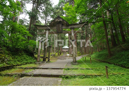 白山平泉寺　二の鳥居と拝殿 137954774