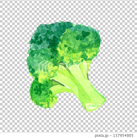 切好的西蘭花 - 手繪水彩蔬菜插圖 切好的西蘭花 - 手繪水彩蔬菜插圖 137954805
