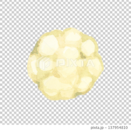 Cut white cauliflower - hand-drawn watercolor illustration of a vegetable. 137954810