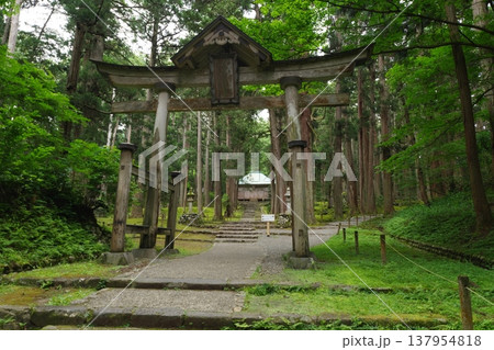 白山平泉寺 二の鳥居と拝殿 白山平泉寺 二の鳥居と拝殿 137954818