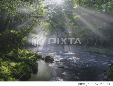 光芒さす渓谷 光芒さす渓谷 137954923