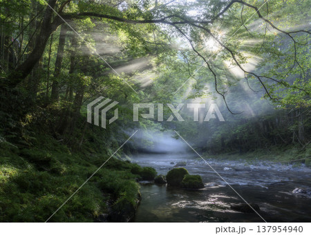 光芒さす渓谷 光芒さす渓谷 137954940