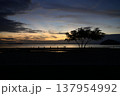 沈む夕日 137954992