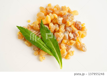 Frankincense or olibanum aromatic resin used in incense and perfumes. Frankincense or olibanum aromatic resin used in incense and perfumes. 137955248