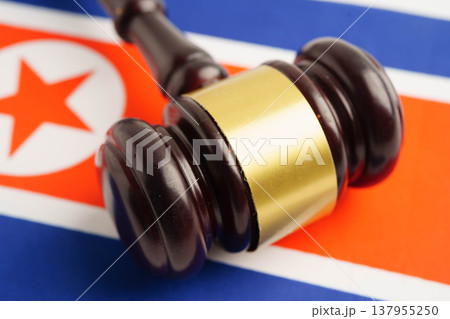North Korea flag with black stethoscope, Business and finance concept. North Korea flag with black stethoscope, Business and finance concept. 137955250