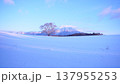 雪原の中そびえ立つ岩手山と小岩井農場の一本桜 137955253