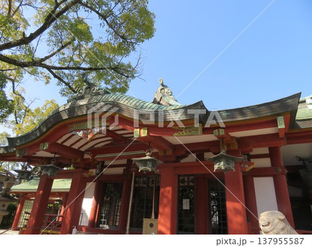 権現宮證誠神社 137955587
