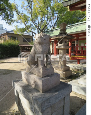 権現宮證誠神社 権現宮證誠神社 137955593