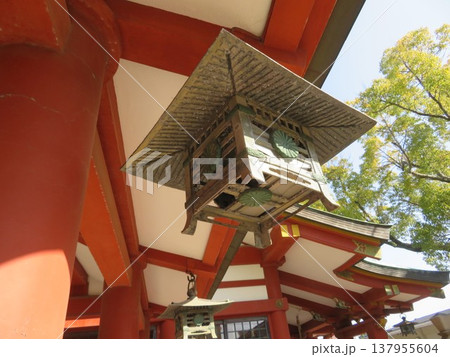 権現宮證誠神社 権現宮證誠神社 137955604
