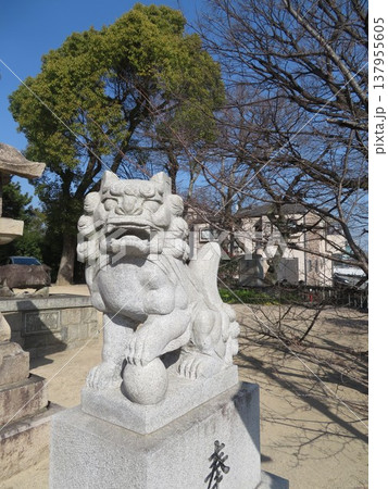 権現宮證誠神社 権現宮證誠神社 137955605