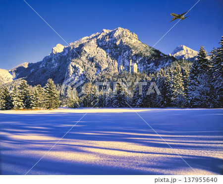 厳冬期のノイシュバンシュタイン城上空を飛行する飛行機 137955640