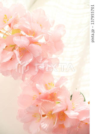 桜の素材背景画像 137955701
