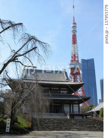 増上寺から見る東京タワー 137955779