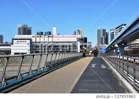 東京都江東区　有明北橋と豊洲市場 137955963