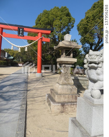 権現宮證誠神社 権現宮證誠神社 137956268