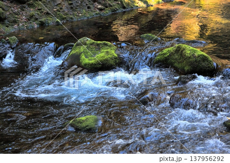 元滝伏流水 137956292