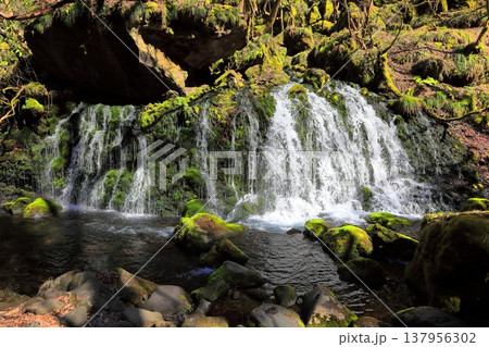 元滝伏流水 137956302