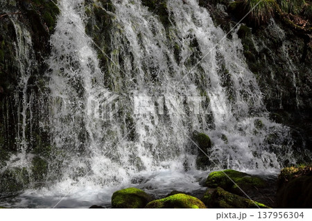 元滝伏流水 137956304