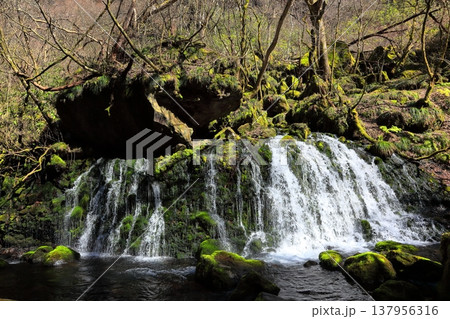 元滝伏流水 137956316