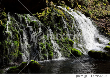 元滝伏流水 137956326
