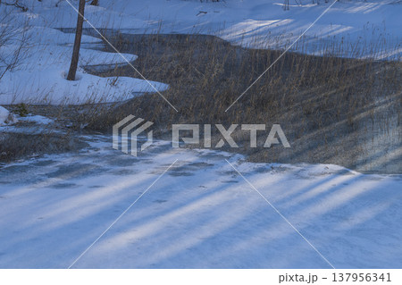 雪に覆われた池 137956341