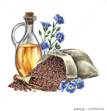 Flaxseed oil. Hand-drawn watercolor illustration. Flaxseed in burlap, wooden scoop, blue flax flowers, and a glass bottle of oil. Element of label design, packaging, banners, posters, and more. 137956723