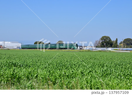 新緑を走るゆふいんの森 137957109