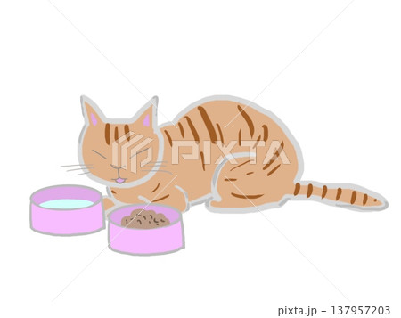 餌のキャットフードと水を目の前にしている猫 餌のキャットフードと水を目の前にしている猫 137957203