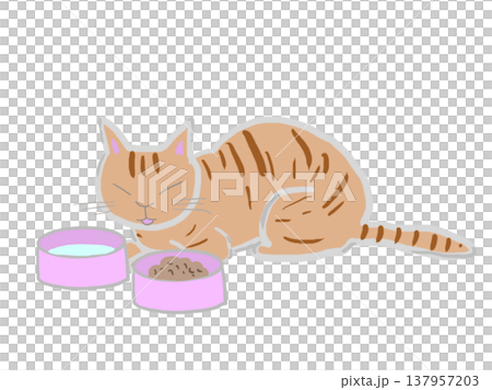 餌のキャットフードと水を目の前にしている猫 餌のキャットフードと水を目の前にしている猫 137957203