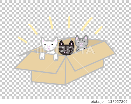 段ボールの箱に入って捨てられている子猫たち 137957205