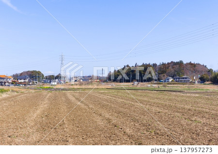 千葉県柏市高柳の風景2026年3月 137957273