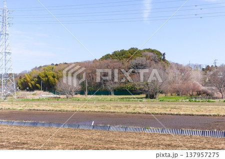 千葉県柏市高柳の風景2026年3月 137957275