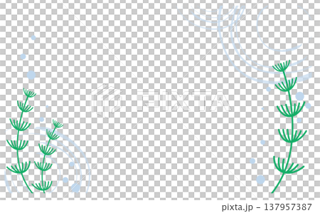 夏の爽やか背景透明感のある水中の水草と波紋 137957387