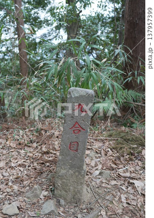 八王子城 八王子城 137957399